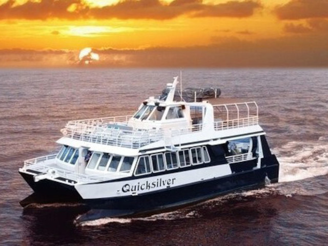 Quicksilver Charters ocean adventures 